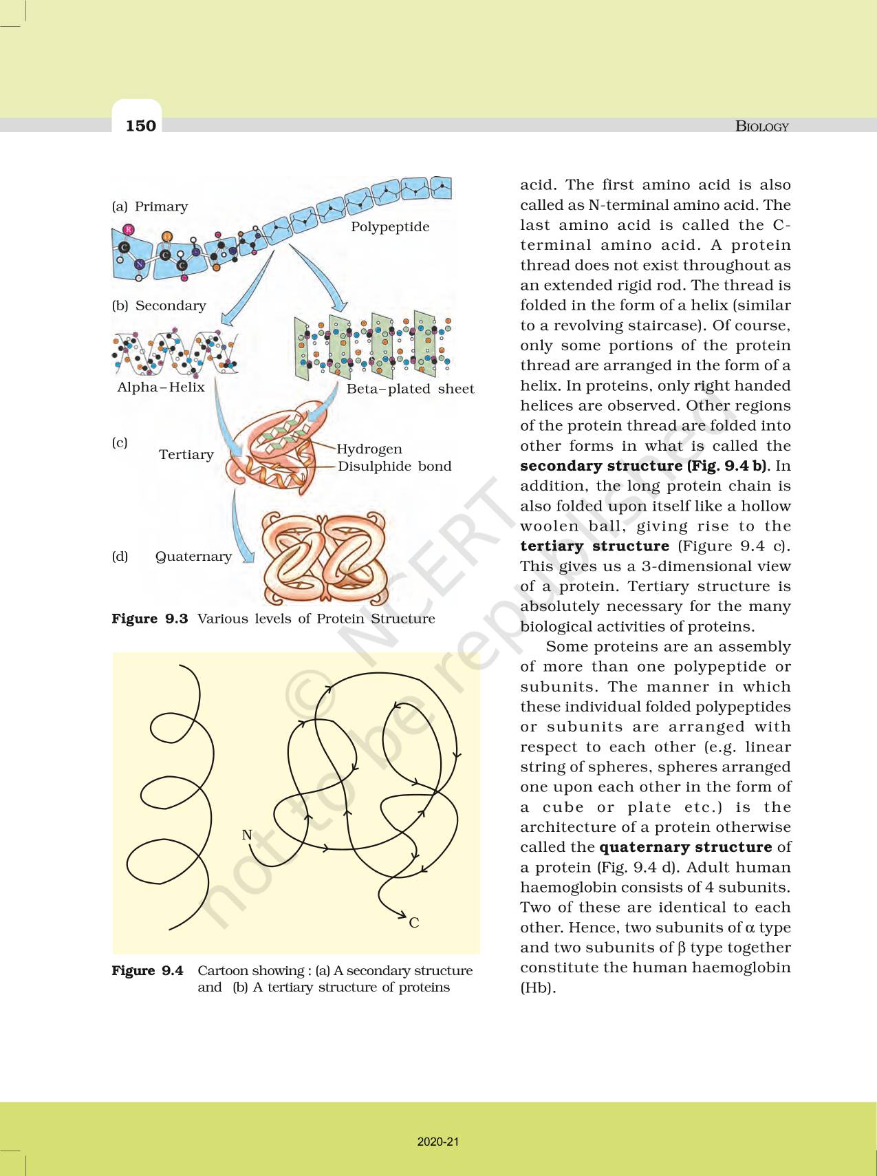 Biomolecules NCERT Book of Class 11 Biology